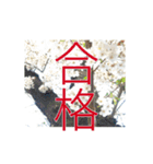 在宅勤務色々（個別スタンプ：15）