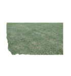 ゴルフのグリーンとサッカー場芝生 野球場（個別スタンプ：26）