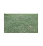 ゴルフのグリーンとサッカー場芝生 野球場（個別スタンプ：27）