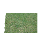 ゴルフのグリーンとサッカー場芝生 野球場（個別スタンプ：32）