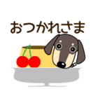 使いやすい ダックスフンド 犬好きな方 夏（個別スタンプ：6）