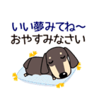 使いやすい ダックスフンド 犬好きな方 夏（個別スタンプ：8）