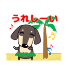 使いやすい ダックスフンド 犬好きな方 夏（個別スタンプ：20）