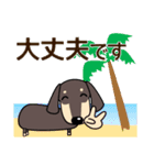 使いやすい ダックスフンド 犬好きな方 夏（個別スタンプ：22）