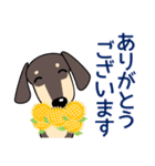 使いやすい ダックスフンド 犬好きな方 夏（個別スタンプ：24）