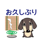 使いやすい ダックスフンド 犬好きな方 夏（個別スタンプ：29）