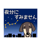 使いやすい ダックスフンド 犬好きな方 夏（個別スタンプ：31）