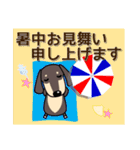 使いやすい ダックスフンド 犬好きな方 夏（個別スタンプ：36）