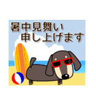 使いやすい ダックスフンド 犬好きな方 夏（個別スタンプ：38）