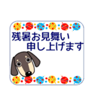 使いやすい ダックスフンド 犬好きな方 夏（個別スタンプ：39）