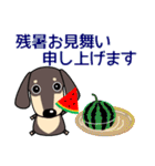 使いやすい ダックスフンド 犬好きな方 夏（個別スタンプ：40）