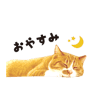 ちゃちゃまる 猫スタンプ（個別スタンプ：2）
