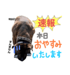 #MARLEY ver.3（個別スタンプ：5）