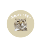 ♡Risa様（個別スタンプ：3）