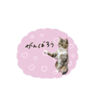 ♡Risa様（個別スタンプ：4）
