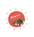 ♡Risa様（個別スタンプ：6）