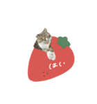 ♡Risa様（個別スタンプ：8）