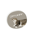 ♡Risa様（個別スタンプ：12）
