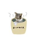 ♡Risa様（個別スタンプ：14）