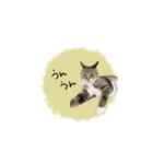 ♡Risa様（個別スタンプ：15）