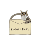 ♡Risa様（個別スタンプ：16）