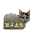 コハクムギの日常3（個別スタンプ：4）