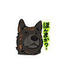 表情豊かな甲斐犬（個別スタンプ：30）