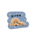 ♡よっちゃん様（個別スタンプ：1）