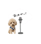♡よっちゃん様（個別スタンプ：3）