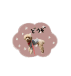 ♡よっちゃん様（個別スタンプ：4）