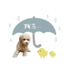 ♡よっちゃん様（個別スタンプ：7）