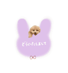 ♡よっちゃん様（個別スタンプ：15）