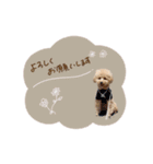 ♡よっちゃん様（個別スタンプ：21）