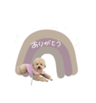 ♡よっちゃん様（個別スタンプ：24）