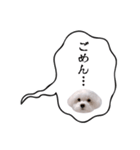 白い犬の毎日ふきだし（個別スタンプ：32）