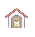 かわいいしぐさ♡犬（個別スタンプ：20）