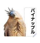 Wild bird friend - ズグロミゾゴイ（個別スタンプ：7）