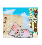 ❤️可愛いアメショー親子猫❤️夏のあいさつ（個別スタンプ：8）