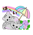 ❤️可愛いアメショー親子猫❤️夏のあいさつ（個別スタンプ：9）