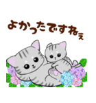 ❤️可愛いアメショー親子猫❤️夏のあいさつ（個別スタンプ：11）