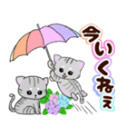 ❤️可愛いアメショー親子猫❤️夏のあいさつ（個別スタンプ：25）