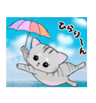 ❤️可愛いアメショー親子猫❤️夏のあいさつ（個別スタンプ：34）