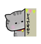 サバトラ猫のトメちゃん 敬語（個別スタンプ：28）