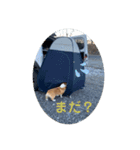 ぱくこと名言。（個別スタンプ：4）