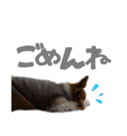 くうちゃん26（個別スタンプ：2）