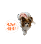 くうちゃん26（個別スタンプ：9）