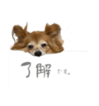 くうちゃん26（個別スタンプ：11）