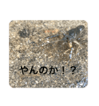 生き物ランド（個別スタンプ：13）