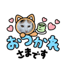 わたしのねこは気まぐれです（個別スタンプ：6）