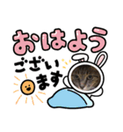 わたしのねこは気まぐれです（個別スタンプ：8）